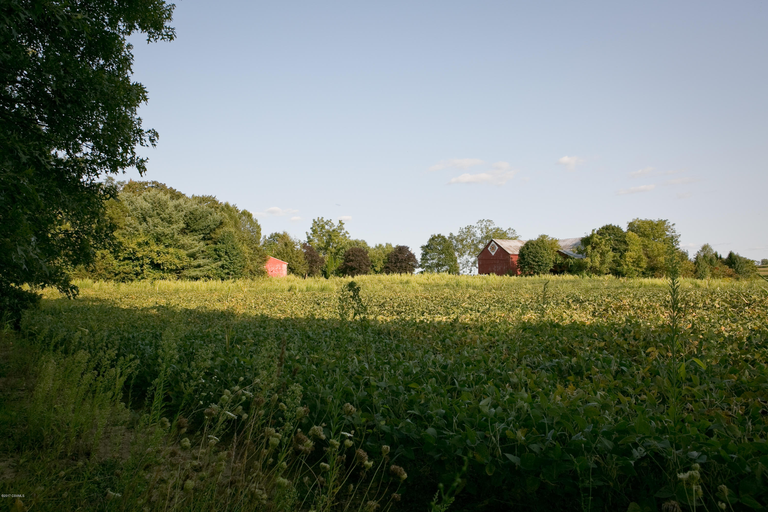 424 Narber Fry Road Muncy, PA 17756 - Photo 36 of 61 Gallery Image 36