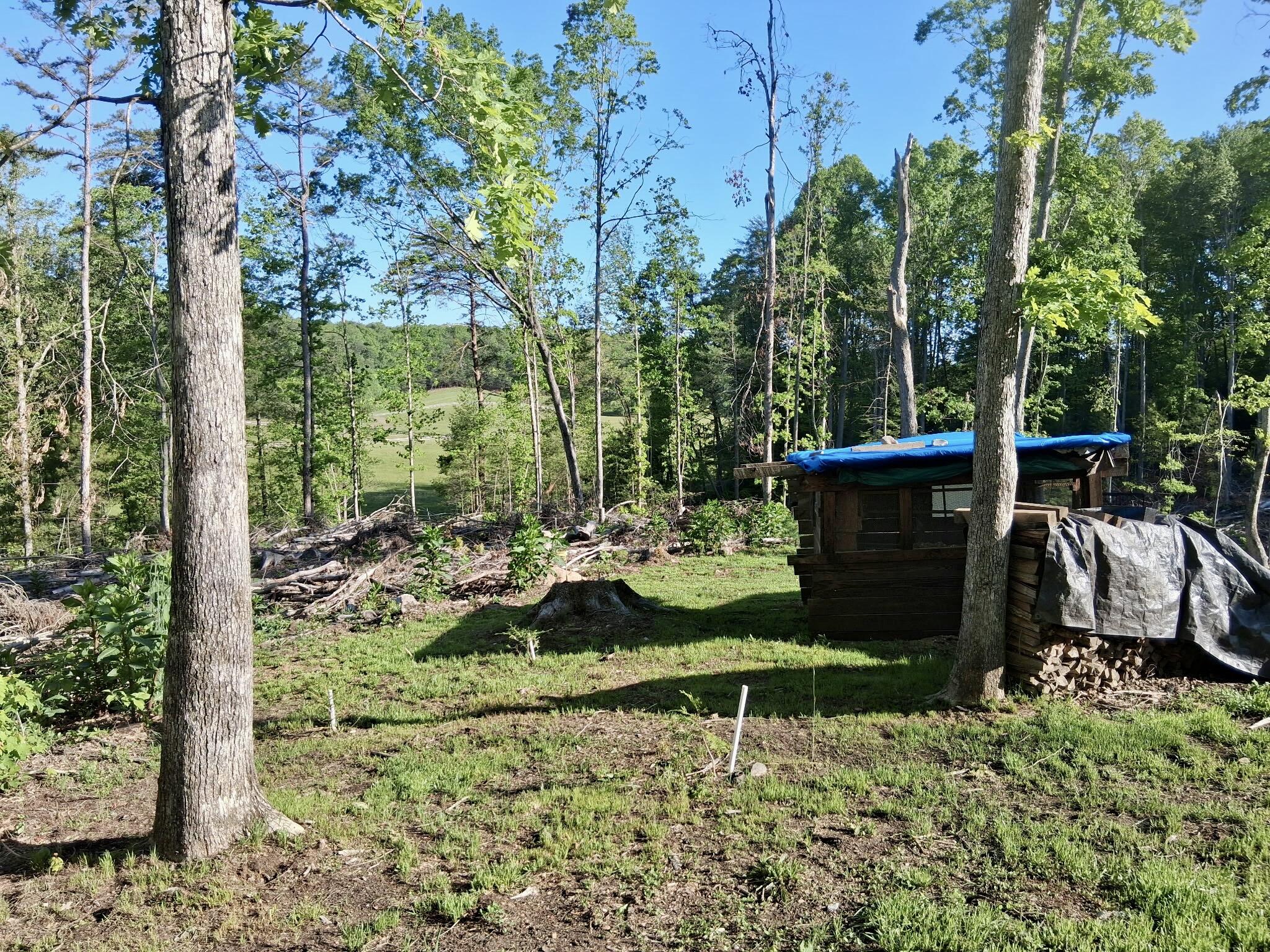 233 Fingerboard Road Tellico Plains, TN 37385 - Photo 17 of 18 1000002222