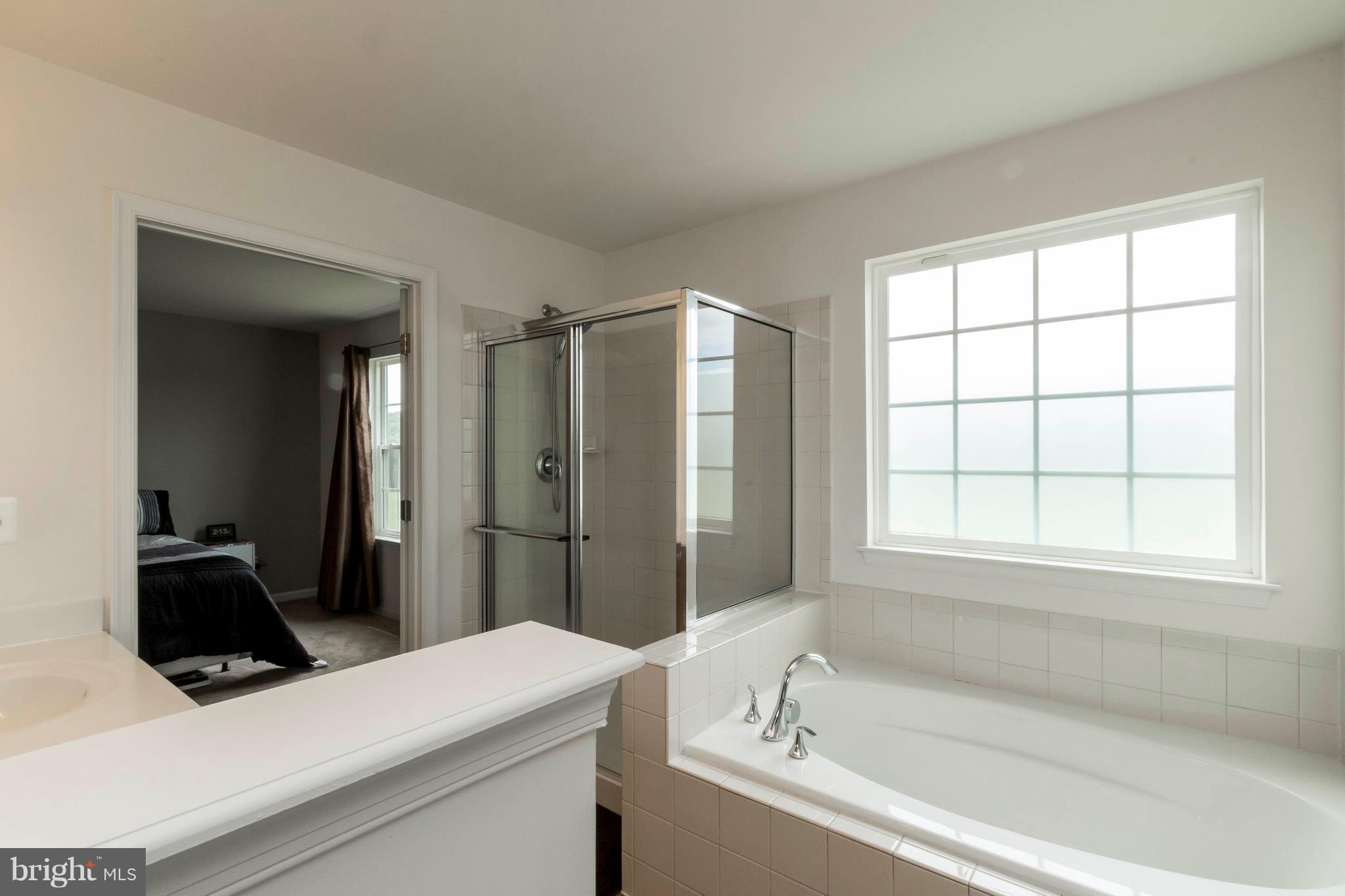 2012 Chesterfield Road Locust Grove, VA 22508 - Photo 18 of 30 Bath (Master)