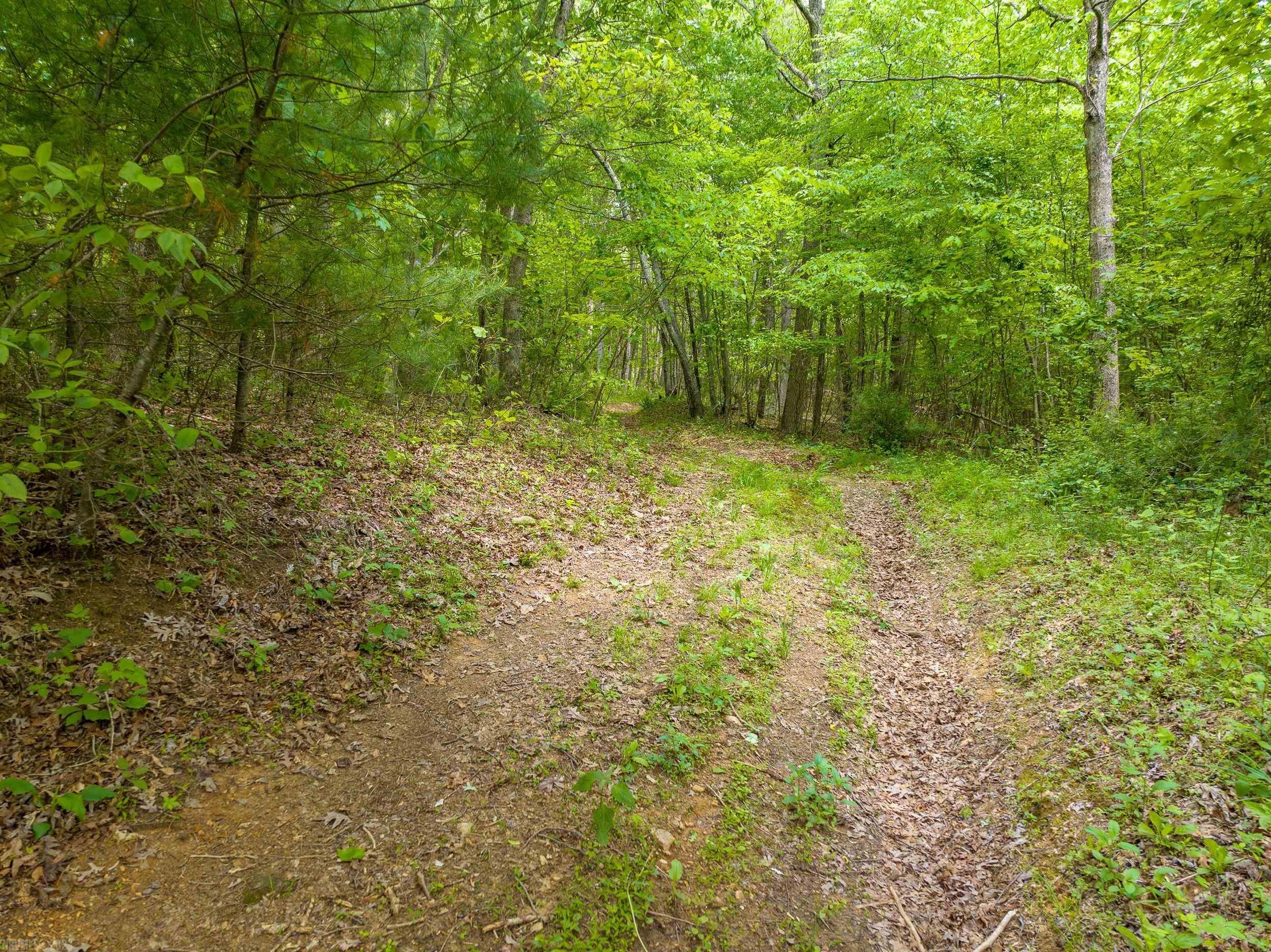 Tbd Apache Road Woodlawn, VA 24381 - Photo 16 of 48 Gallery Image 16