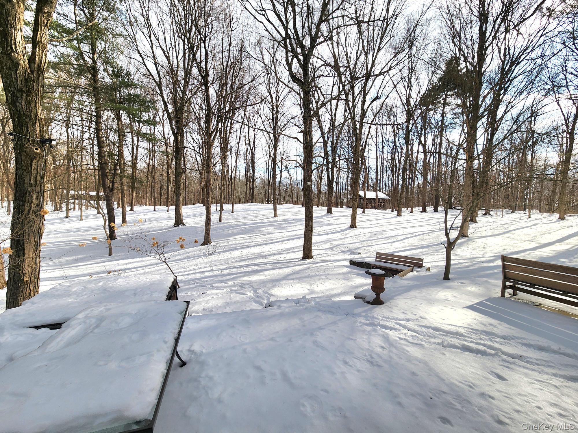 568 River Road Rhinebeck, NY 12572 - Photo 25 of 26 View of yard covered in snow