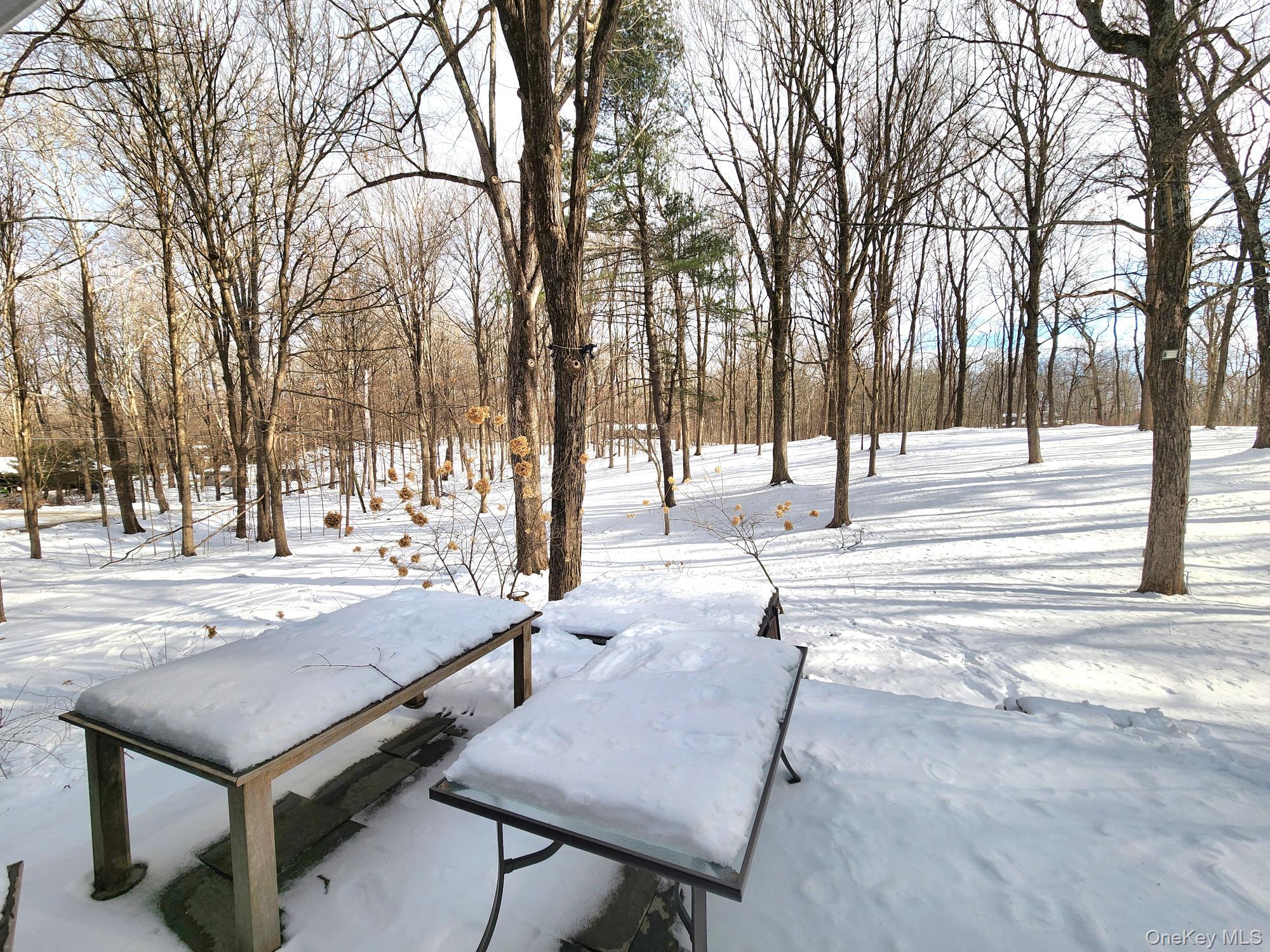 568 River Road Rhinebeck, NY 12572 - Photo 26 of 26 View of yard
