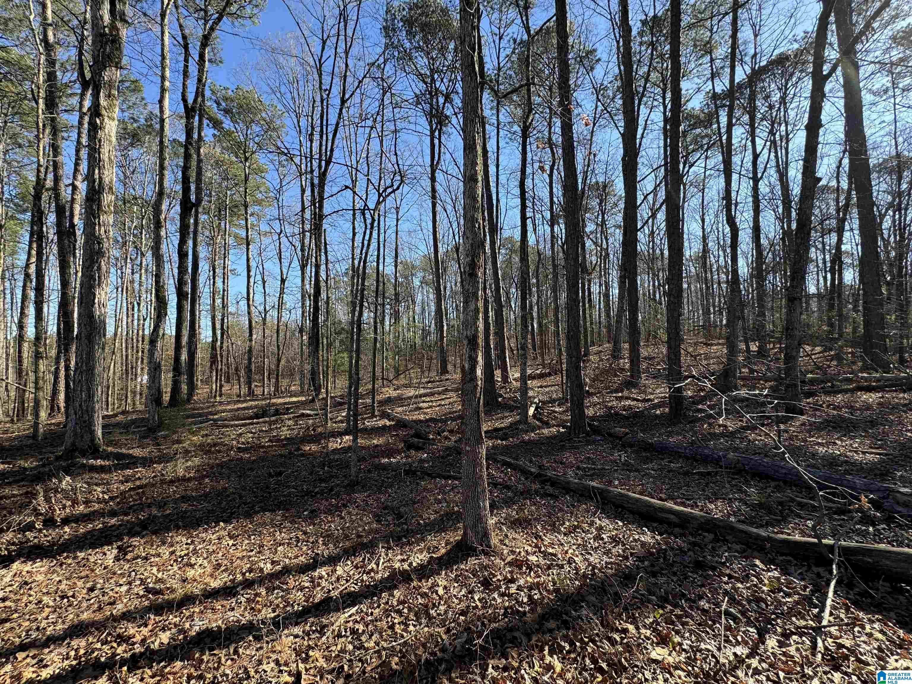 1080 County Road 46, Unit 1 Montevallo, AL 35115 - Photo 10 of 13