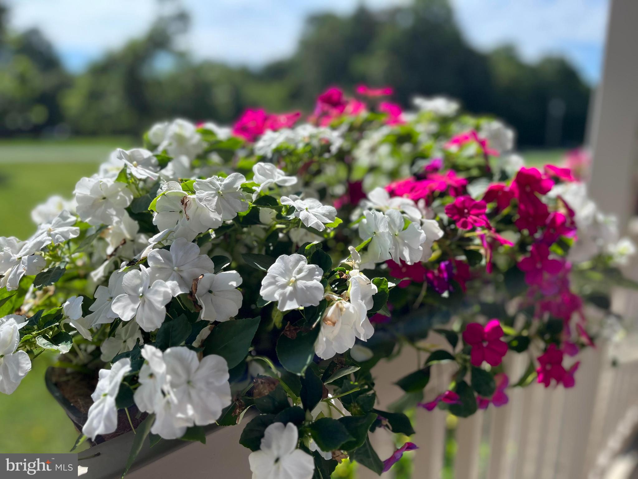 11368 Beideman Road Lincoln, DE 19960 - Photo 45 of 52