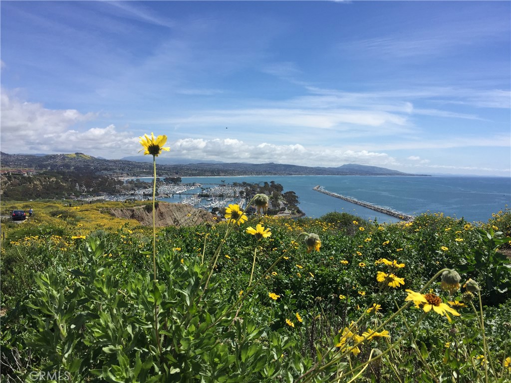 34144 Selva Road, Unit 205 Dana Point, CA 92629 - Photo 8 of 58