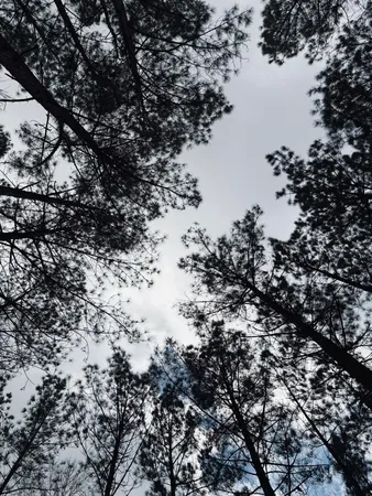 $275,000 | 215 Honeybee Court, Unit JF407, Jasper, TN 37347