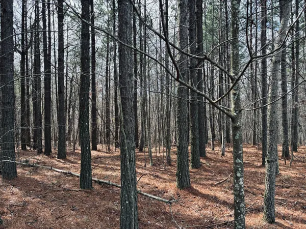 $275,000 | 215 Honeybee Court, Unit JF407, Jasper, TN 37347