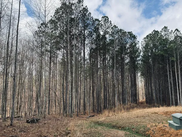 $275,000 | 215 Honeybee Court, Unit JF407, Jasper, TN 37347