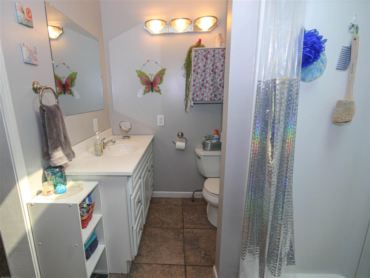 5240 North Lewis Road Coleman, MI 48618 - Photo 15 of 30