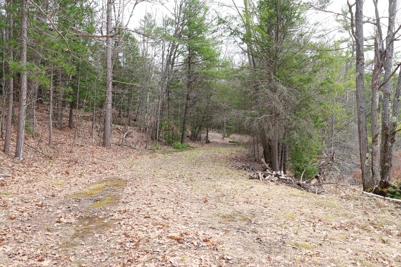 6225 Wood Lake Road Land O'Lakes, WI 54540 - Photo 21 of 24 Gallery Image 21