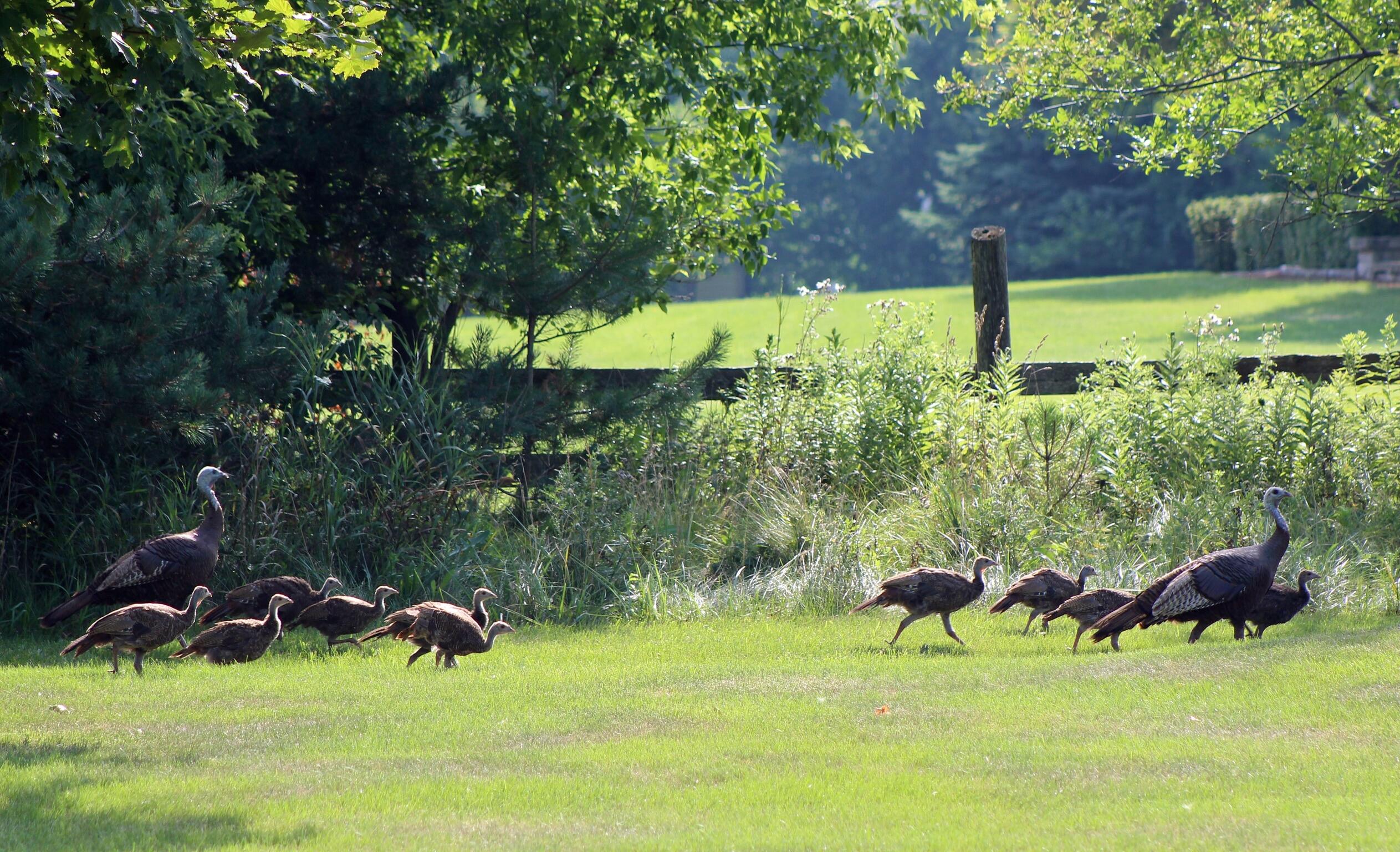 W292N3296 Summerhill Road Delafield, WI 53072 - Photo 76 of 95 2D01C828-81D7-4EED-86CC-C3ADC8888324