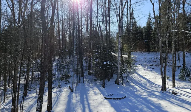 $384,900 | 167 Park Johnsburg Ny 12843, Johnsburg, NY 12843