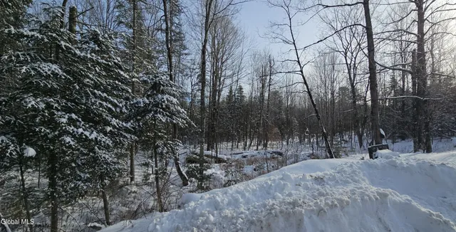 $384,900 | 167 Park Johnsburg Ny 12843, Johnsburg, NY 12843