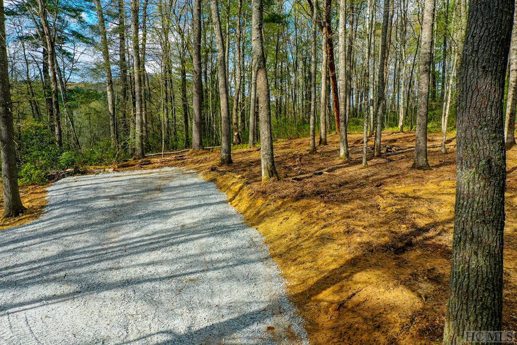 0 Jodytown Road Cashiers, NC 28717 - Photo 20 of 22 Gallery Image 20