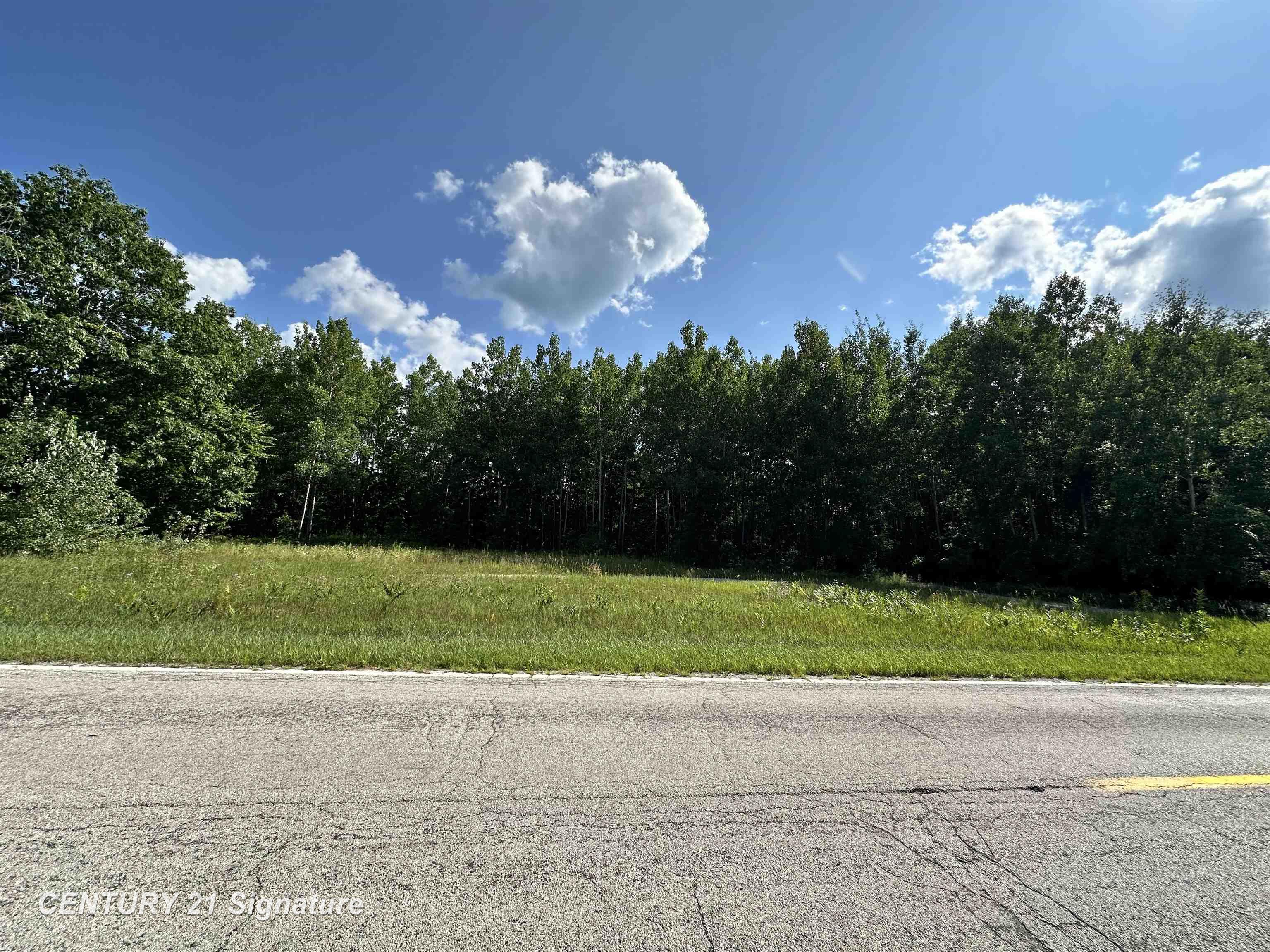 Vl West School Road Mount Pleasant, MI 48858 - Photo 1 of 10