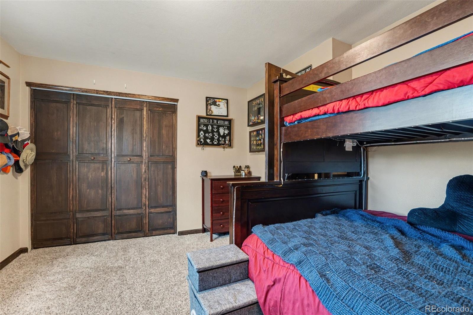 6224 Powell Road Parker, CO 80134 - Photo 16 of 40 a bed room with a bed and a television