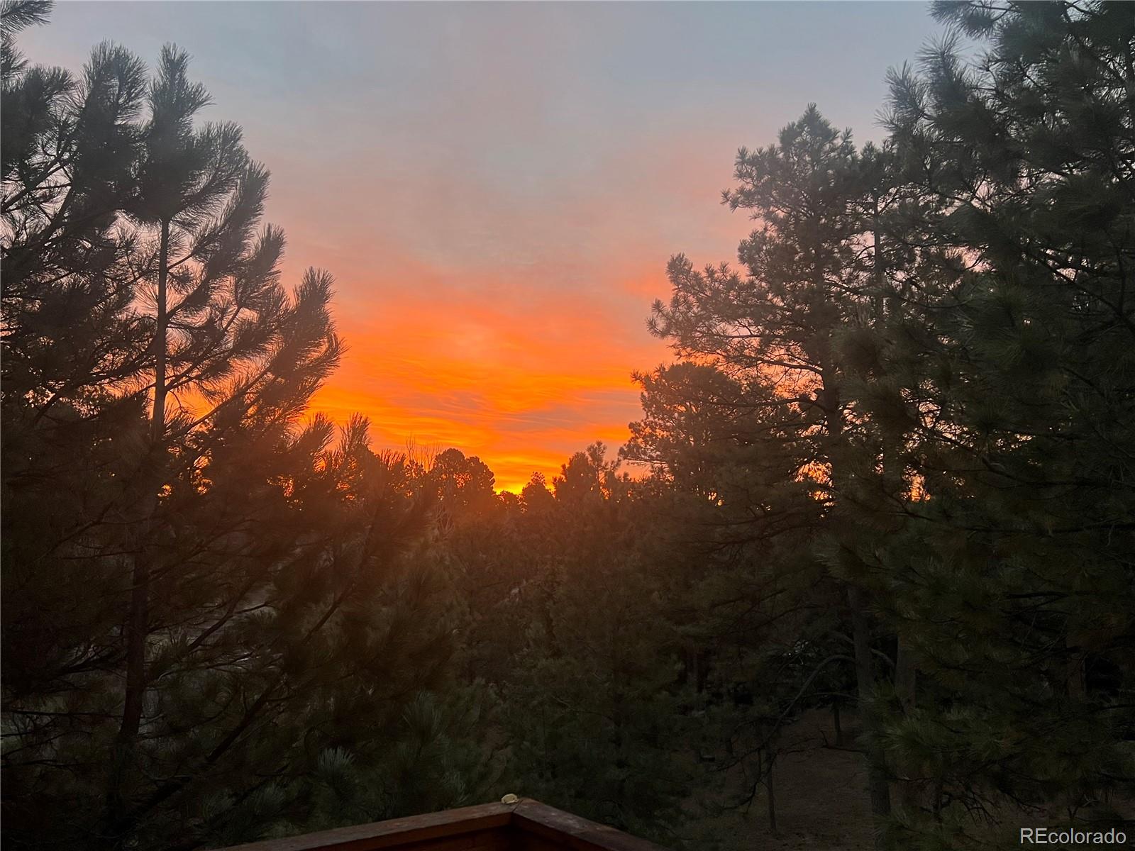 6224 Powell Road Parker, CO 80134 - Photo 38 of 40 a view of mountain view with lots of trees