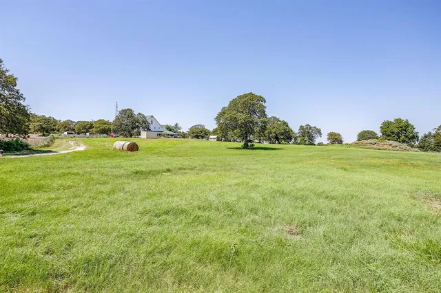 a view of dirt field with trees