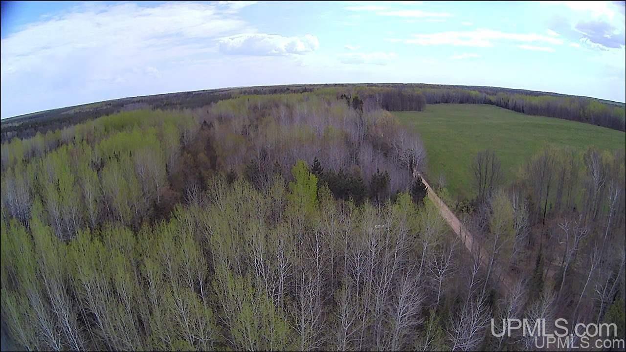 Tbd Tbd Co Road, Unit 1 Marquette, MI 49855 - Photo 7 of 50