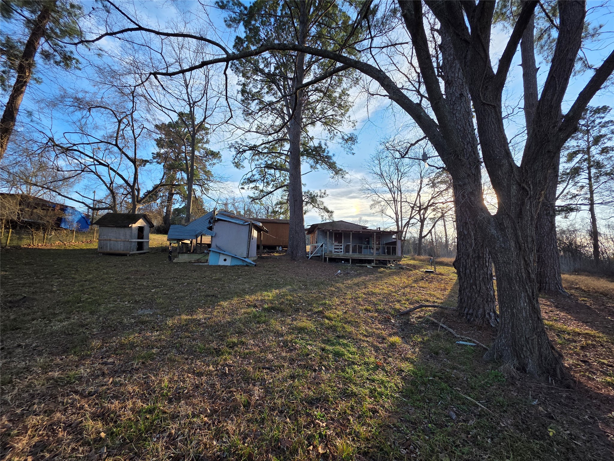 51 Moss Hill Lane Point Blank, TX 77364 - Photo 14 of 19