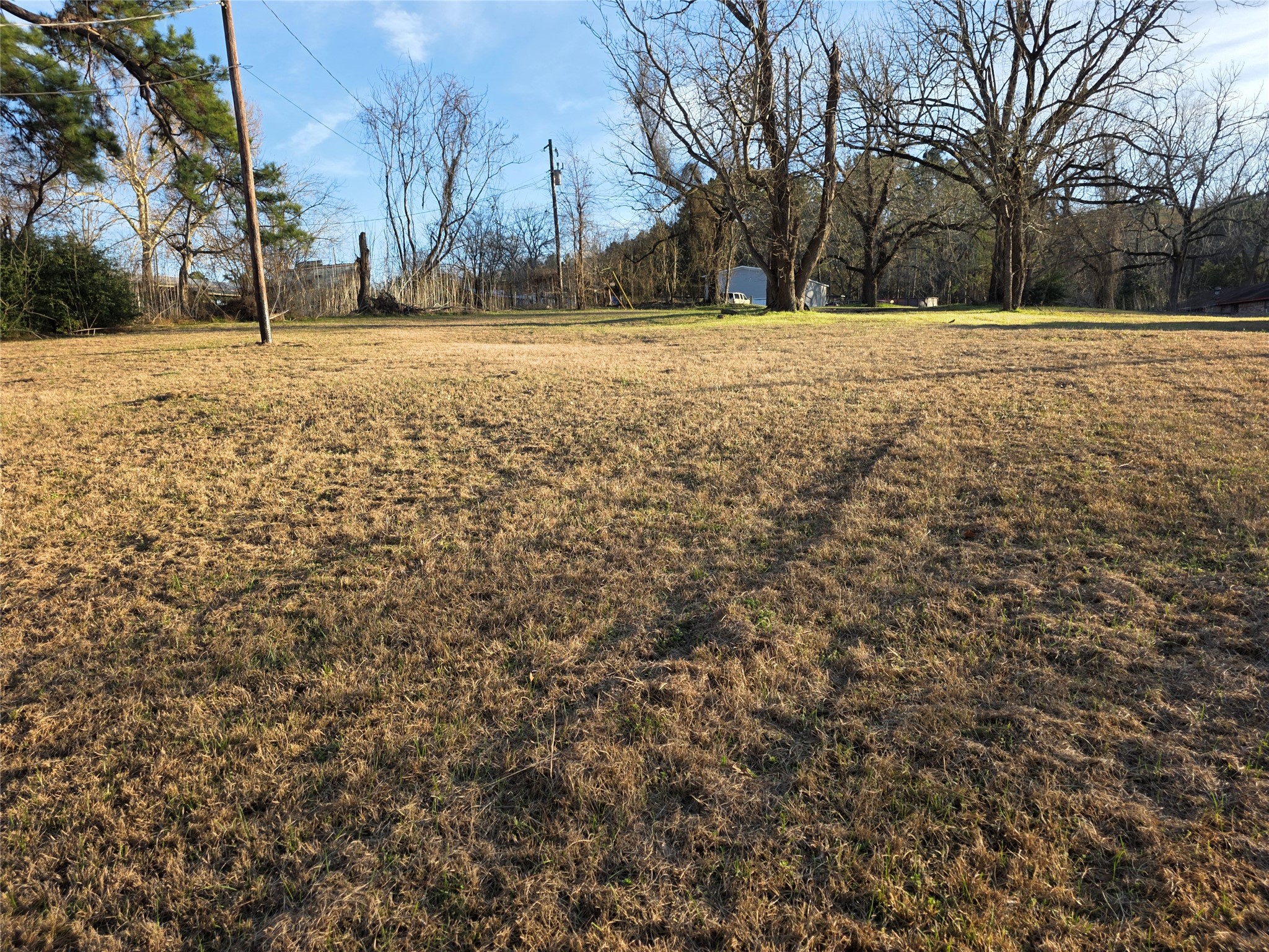 51 Moss Hill Lane Point Blank, TX 77364 - Photo 15 of 19