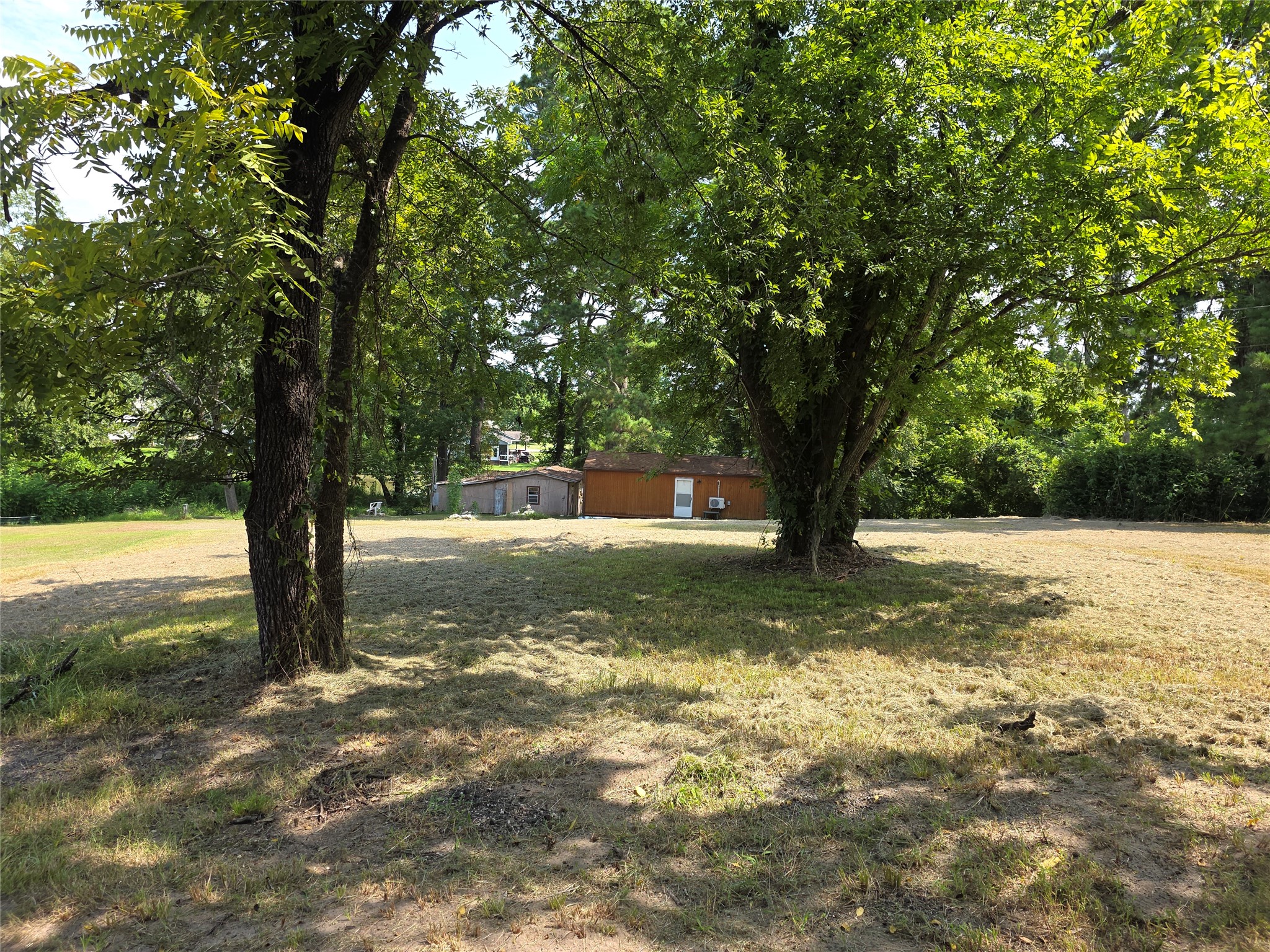 51 Moss Hill Lane Point Blank, TX 77364 - Photo 19 of 19