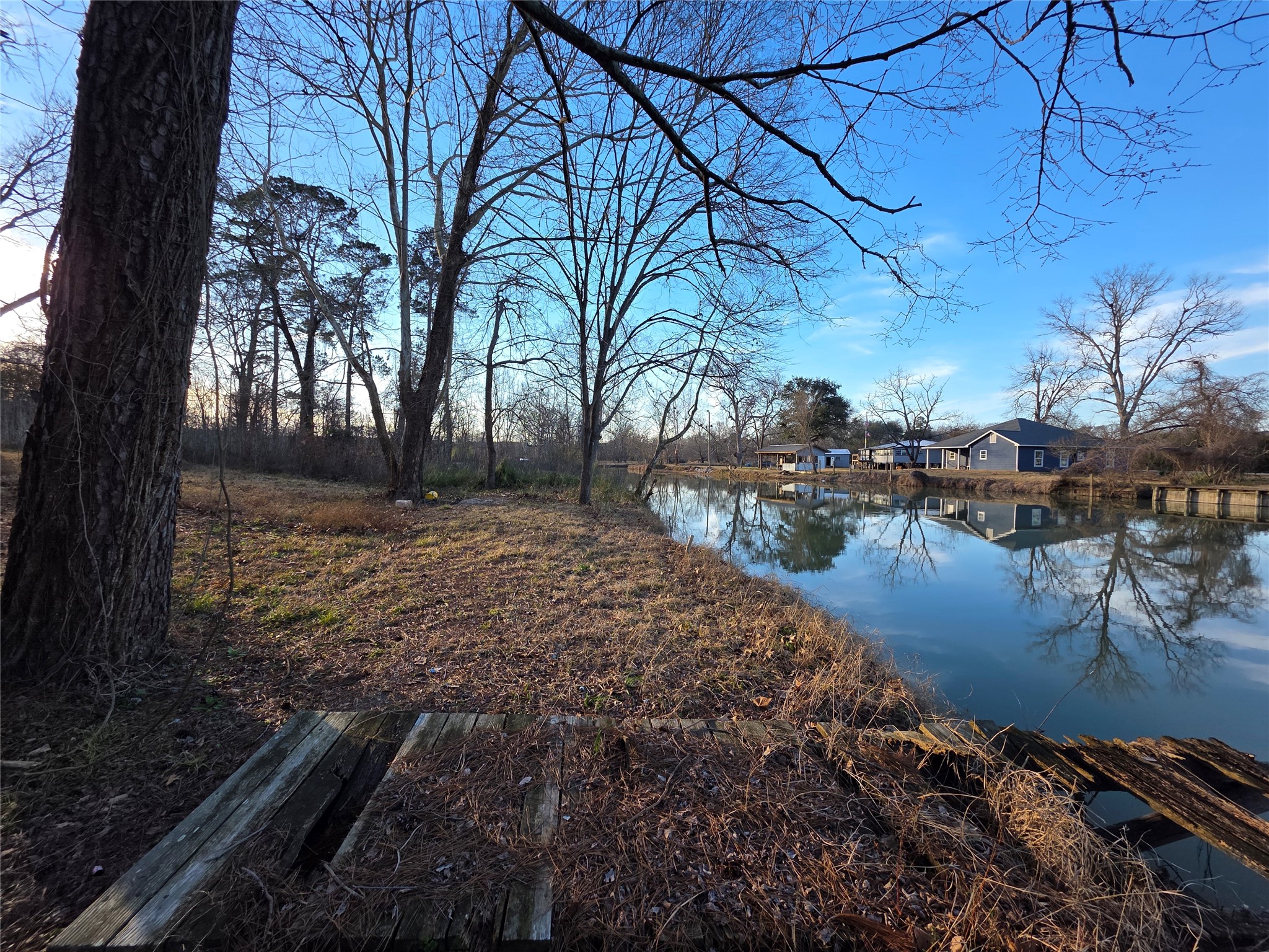 51 Moss Hill Lane Point Blank, TX 77364 - Photo 3 of 19