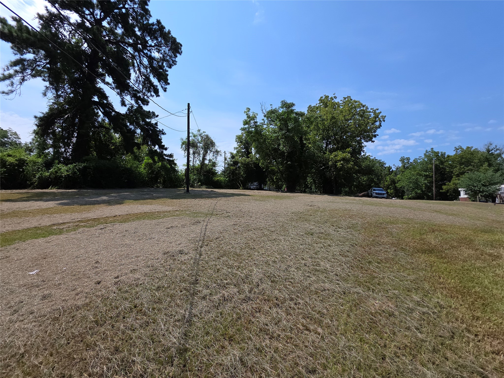 51 Moss Hill Lane Point Blank, TX 77364 - Photo 8 of 19