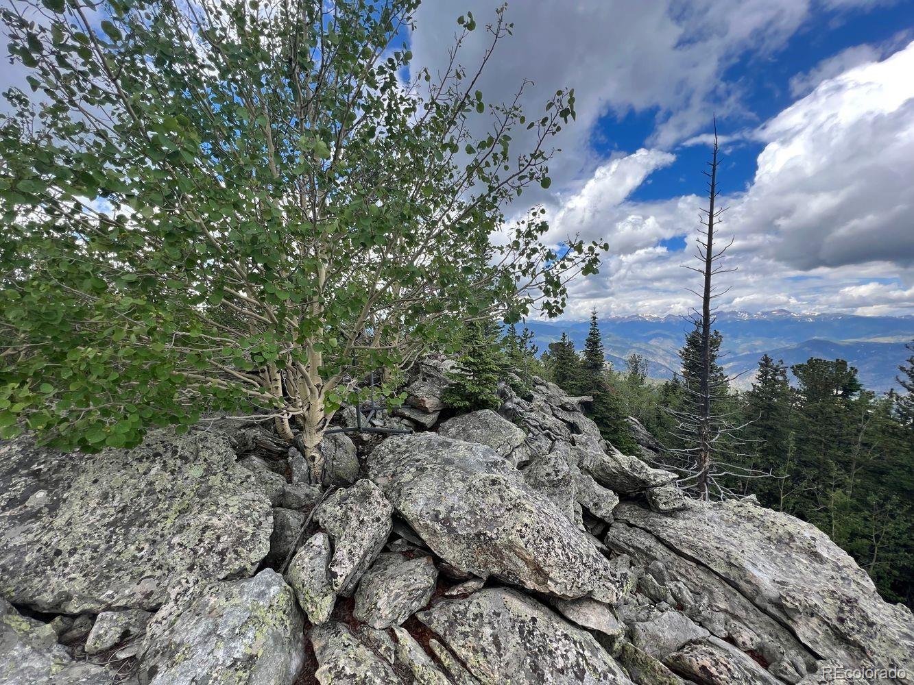 0 Hidden Wilderness Road Evergreen, CO 80439 - Photo 16 of 29