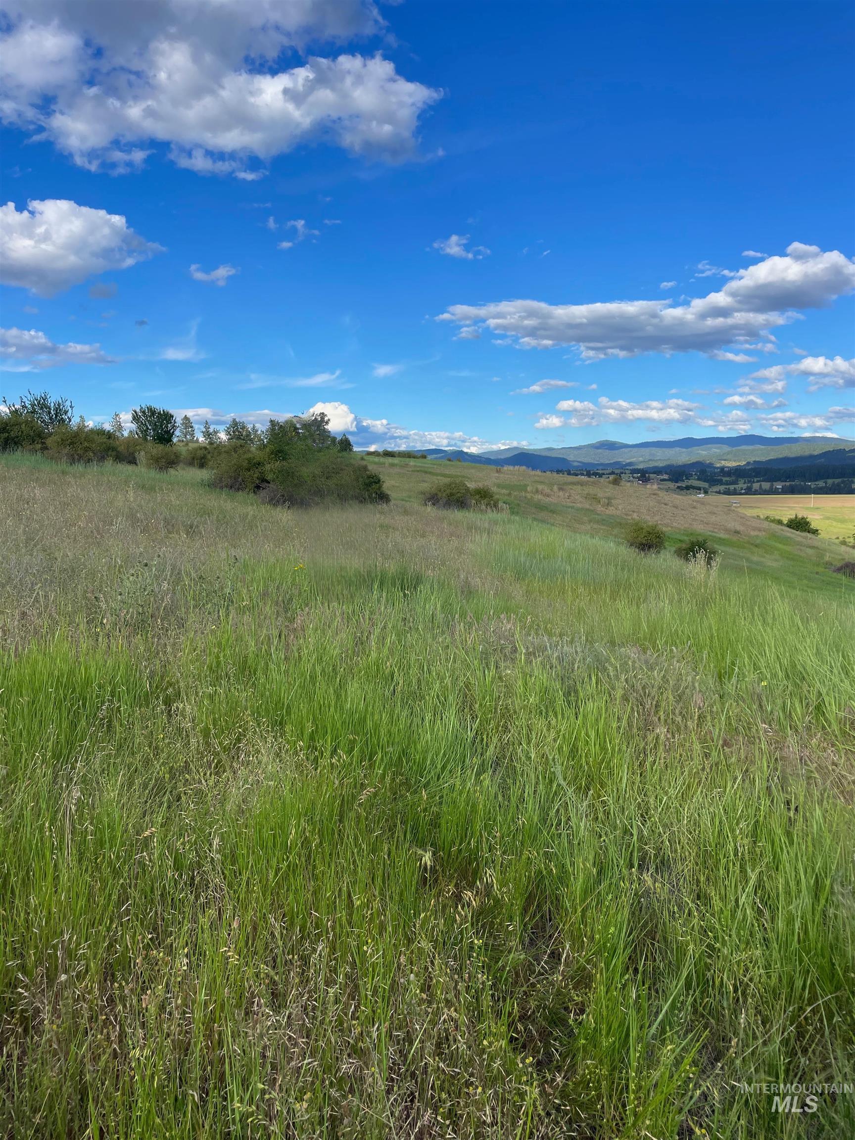 Tbd Brotnov Road Stites, ID 83552 - Photo 24 of 28