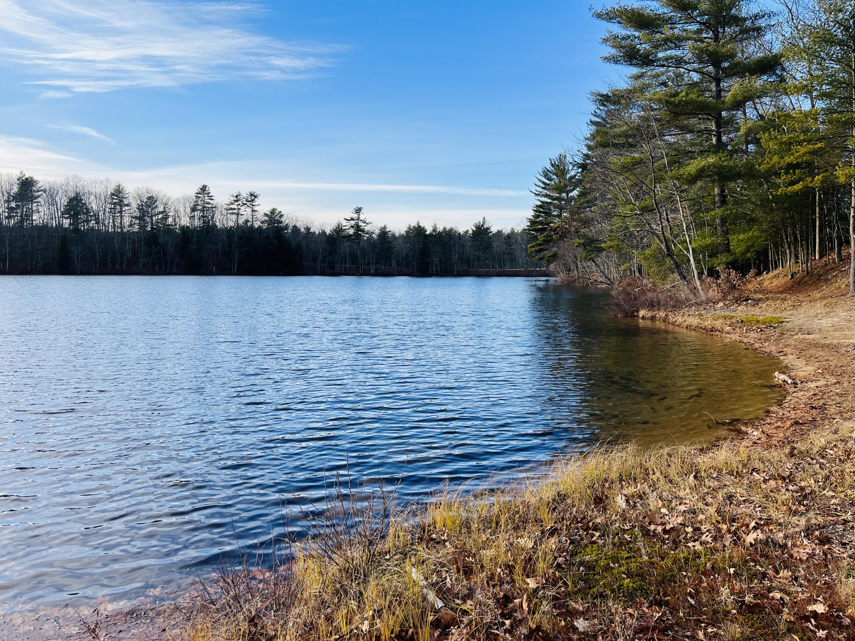 52 Basken Shores Road North Waterboro, ME 04061 - Photo 47 of 54 IMG_4987