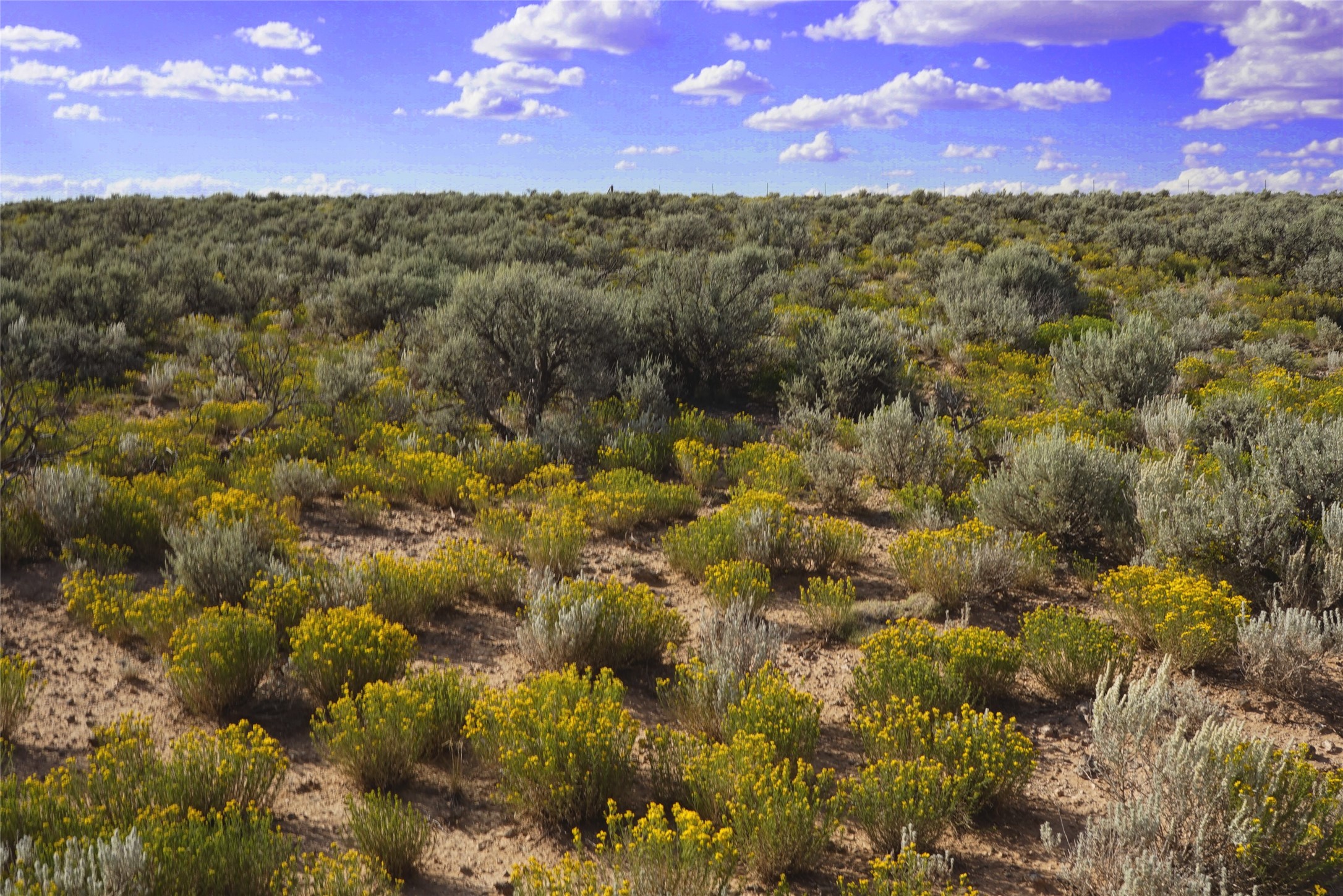 Xx Xx Rim Road Carson, NM 87517 - Photo 2 of 4