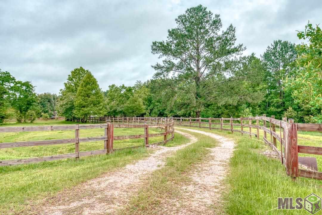 32020 Butch Bennett Road Walker, LA 70785 - Photo 6 of 29 Gallery Image 6