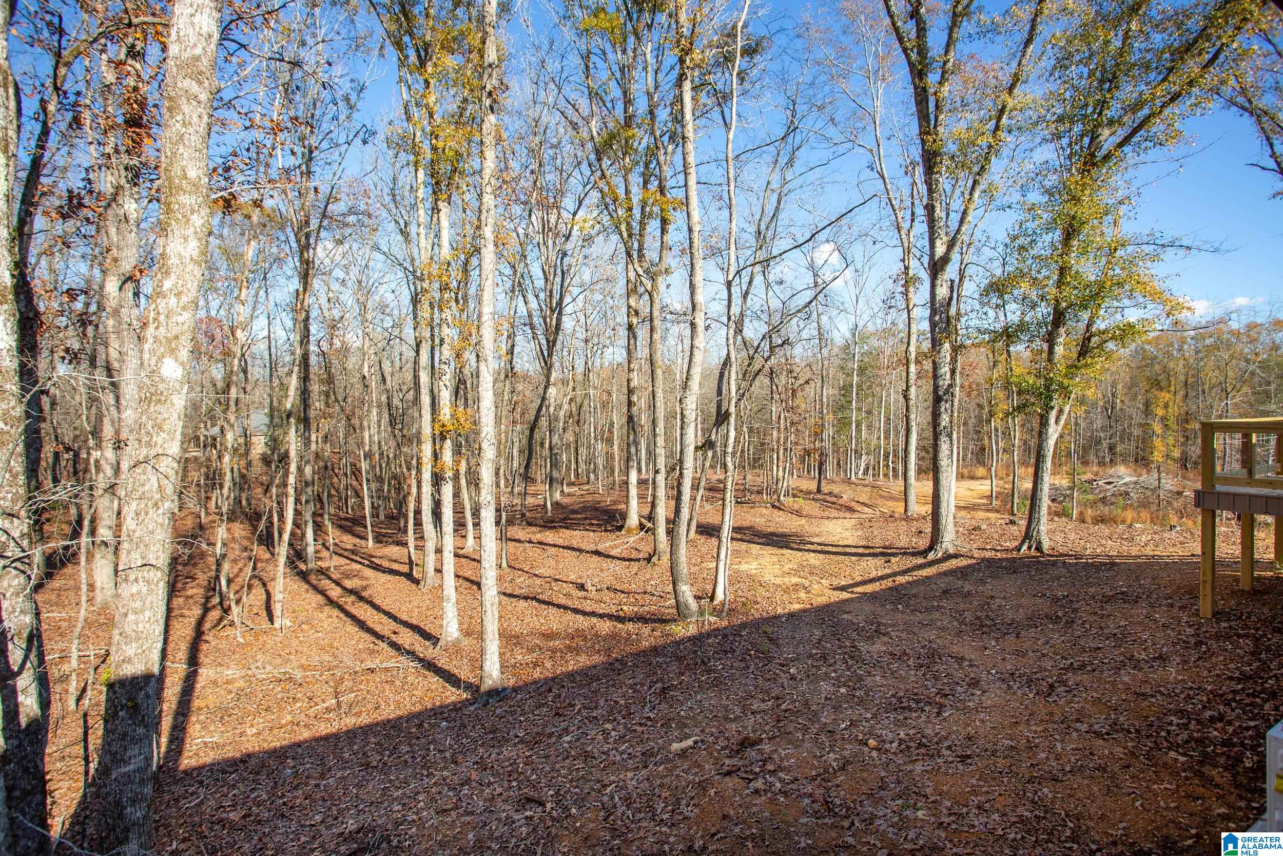 333 Chicksaw Trail Ohatchee, AL 36271 - Photo 35 of 37 Gallery Image 35