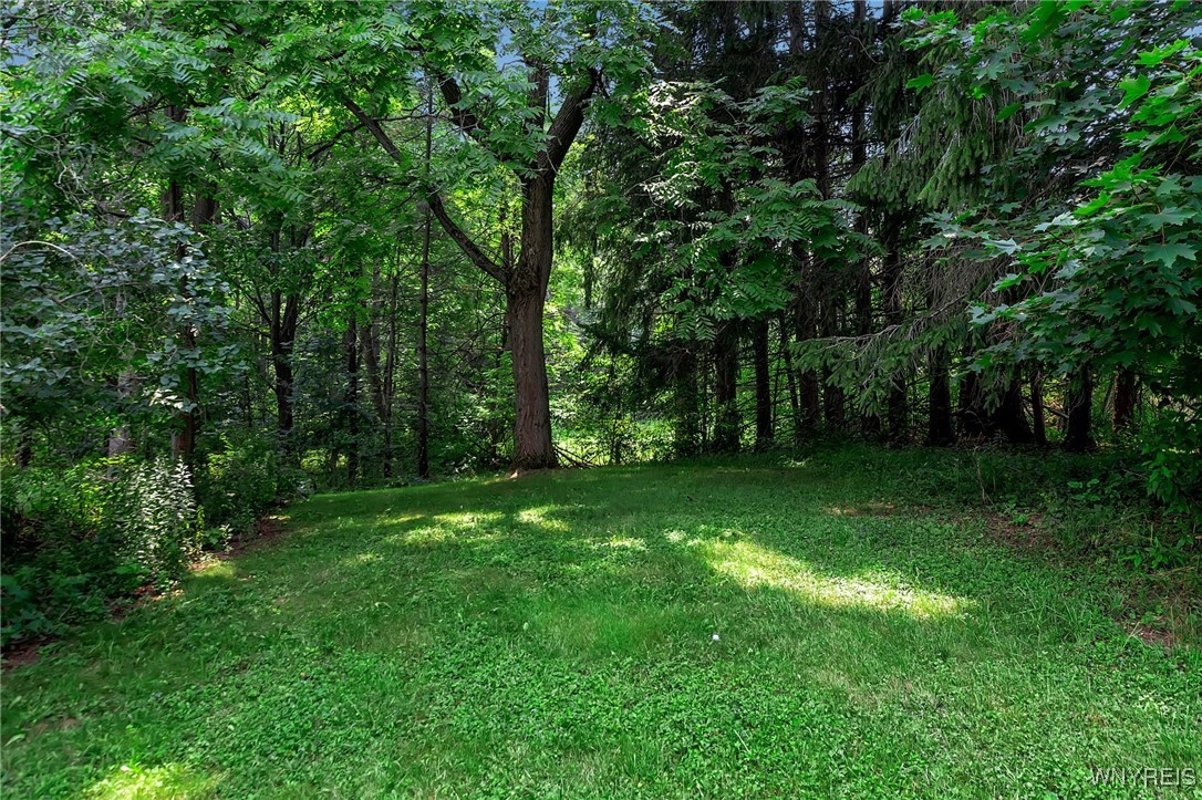 11799 Matteson Corners Road Sardinia, NY 14030 - Photo 37 of 38