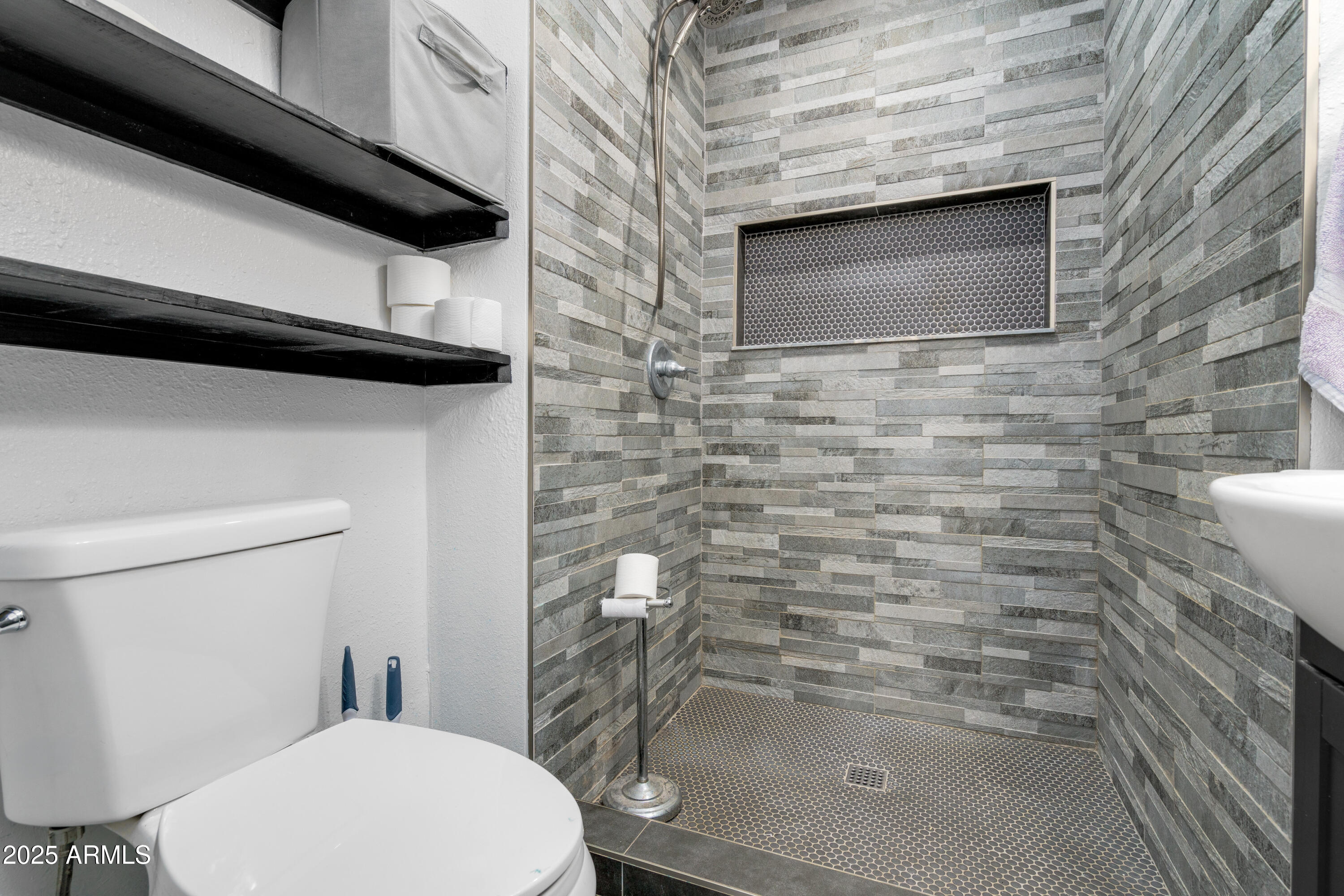 1032 East Redfield Road Tempe, AZ 85283 - Photo 13 of 15 a bathroom with a toilet and a shower