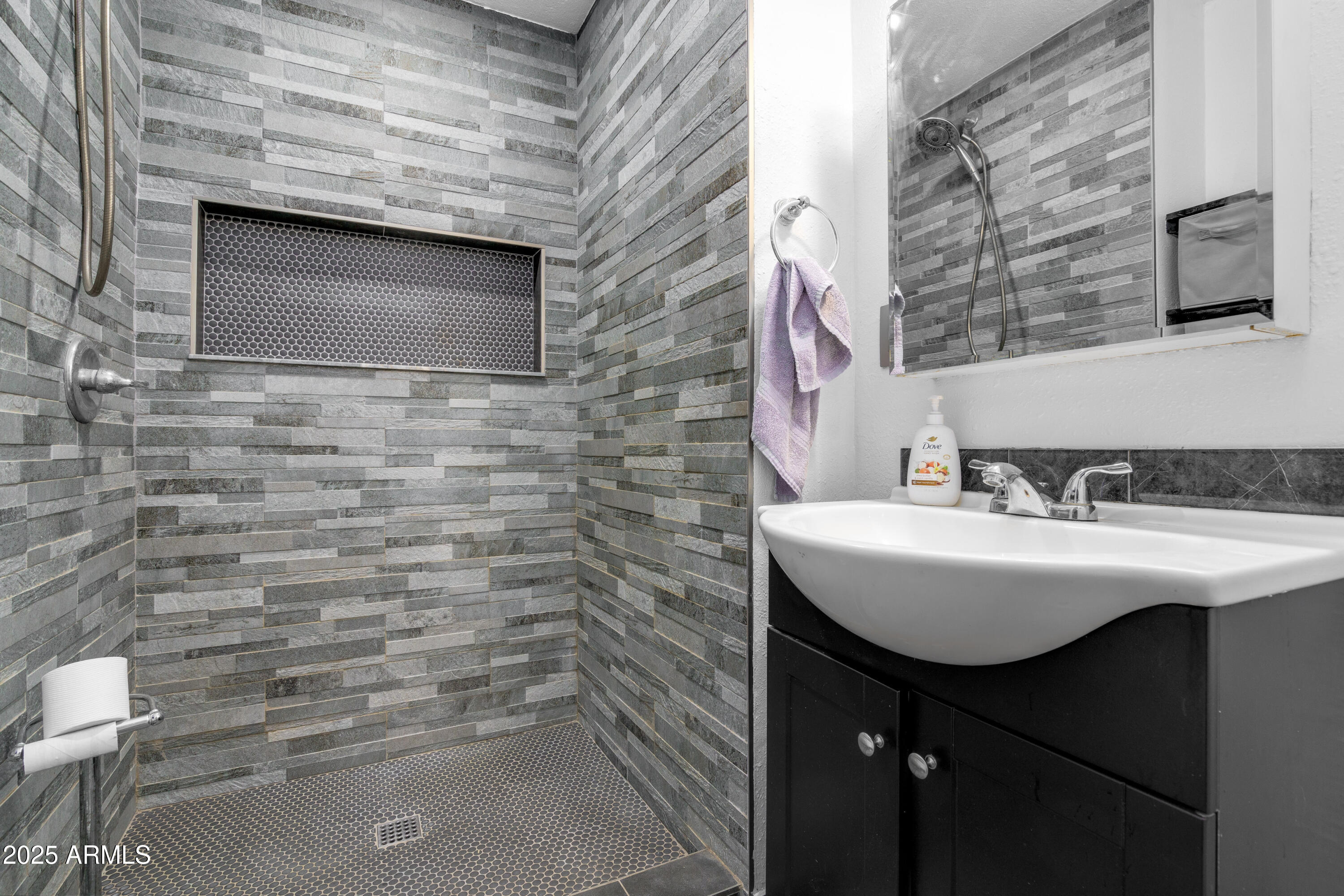 1032 East Redfield Road Tempe, AZ 85283 - Photo 10 of 15 a bathroom with a sink and a toilet