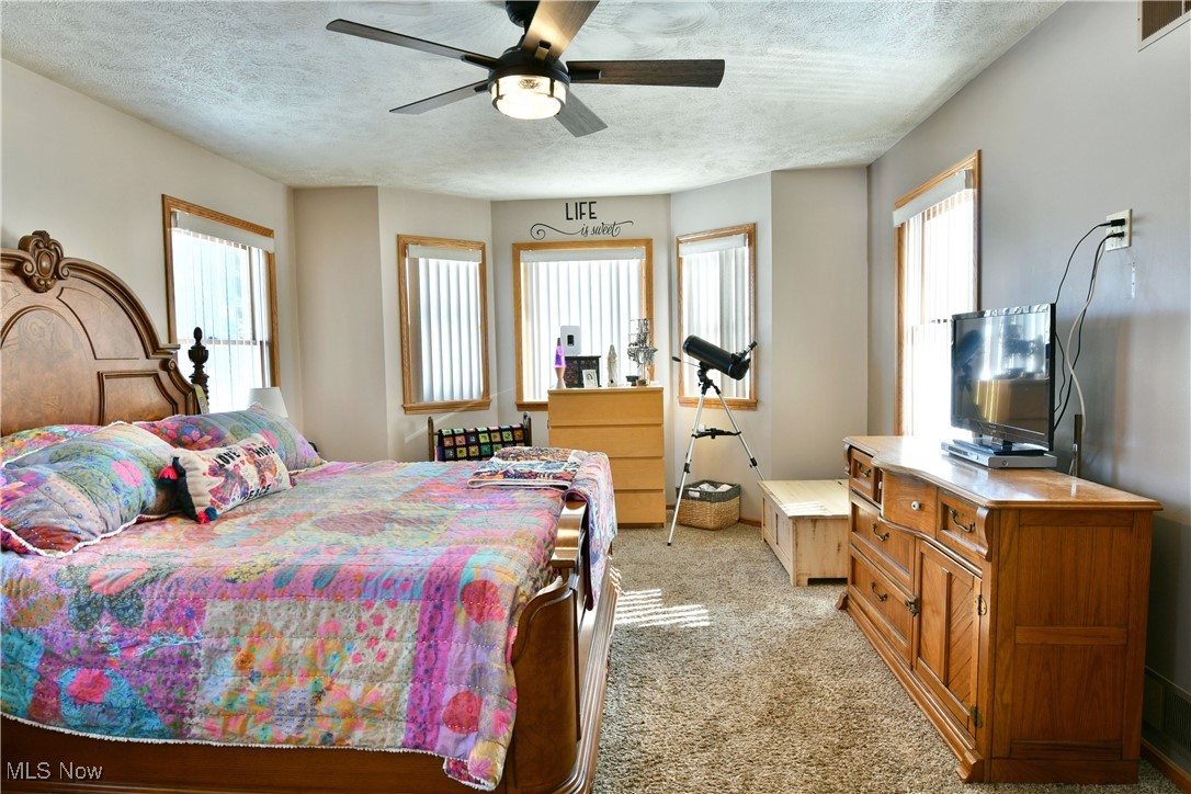5915 Downs Road Northwest Warren, OH 44481 - Photo 11 of 50 Carpeted bedroom with multiple windows, a textured ceiling, and ceiling fan
