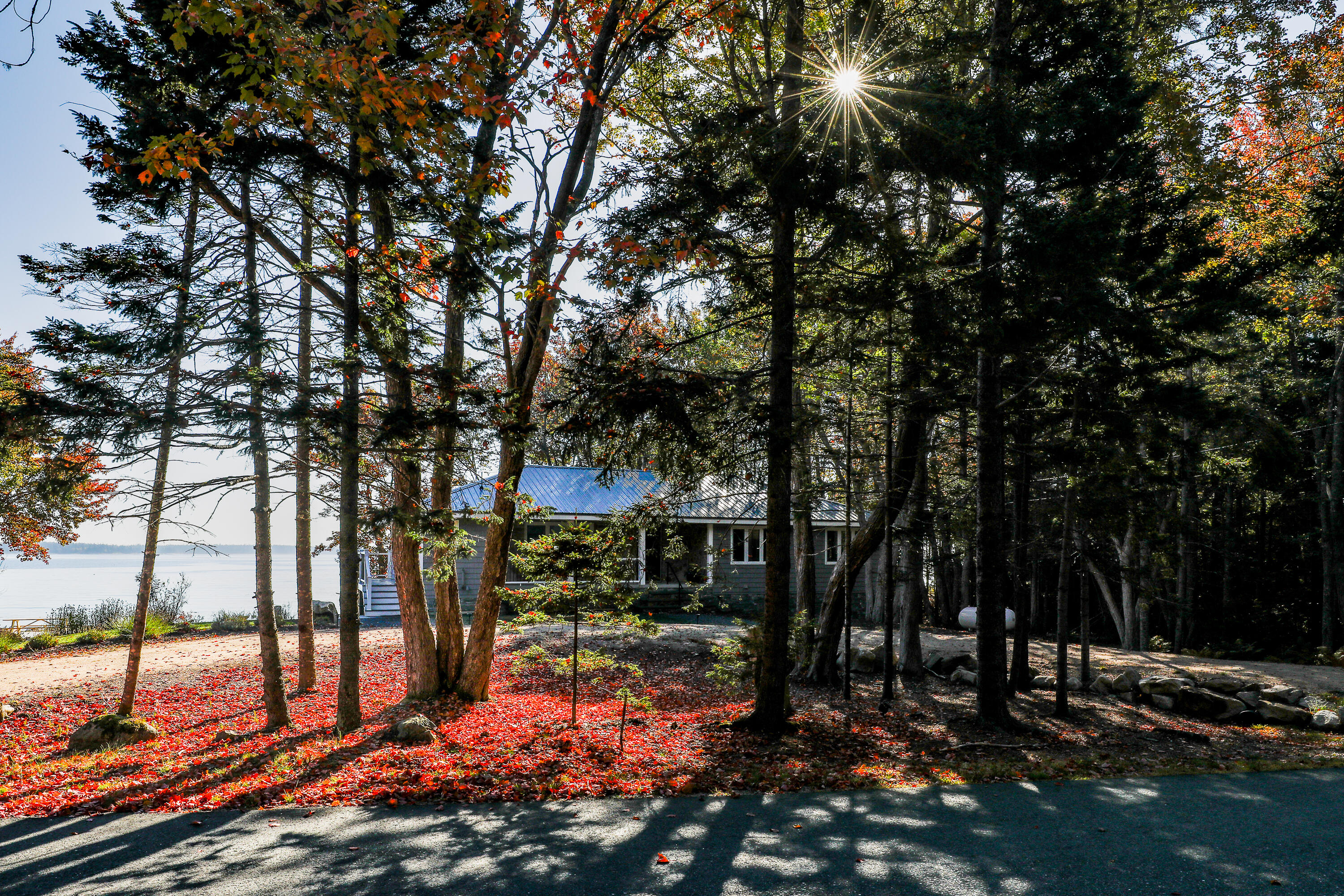 173 Paul Bunyan Road Corea, ME 04624 - Photo 2 of 41 20251005-164A0170-HDR