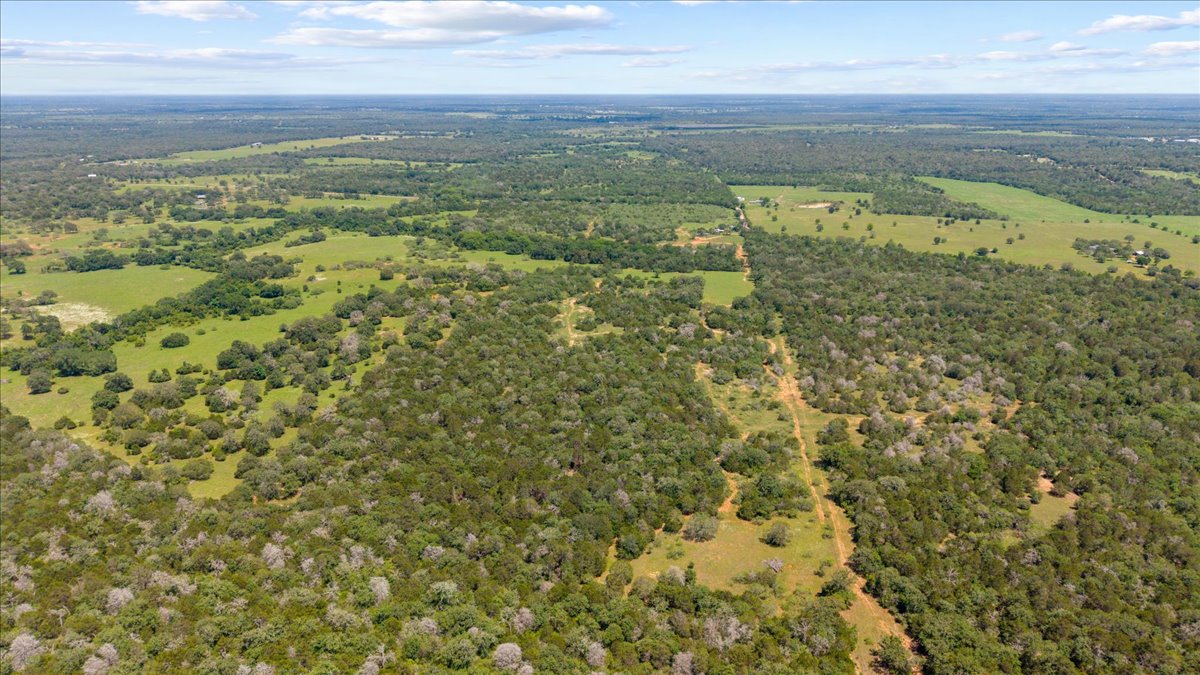 1648 Jeddo Road Rosanky, TX 78953 - Photo 4 of 19 a view of a green field with an ocean view