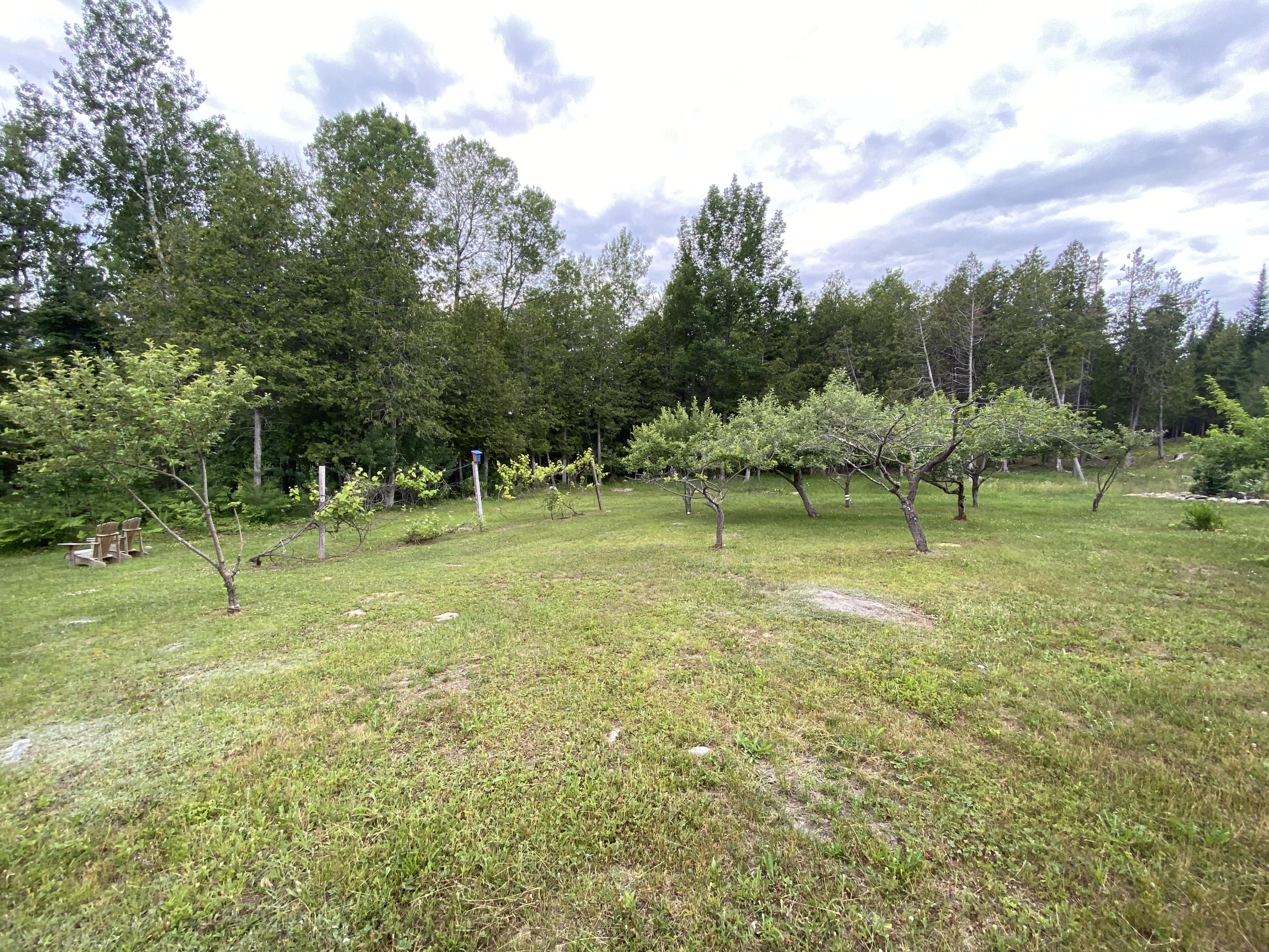 302 Church Road Bangor, ME 04401 - Photo 123 of 133 DFDEFE6B-E3E4-4052-9139-2450AA3D44B0