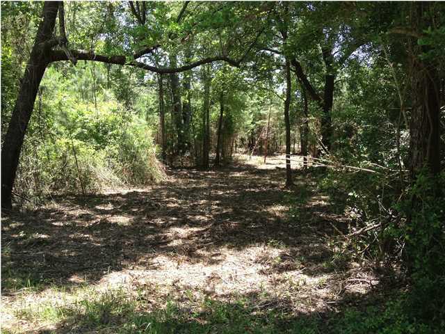 8695 Peters Point Road Edisto Island, SC 29438 - Photo 2 of 20 Additional Photo