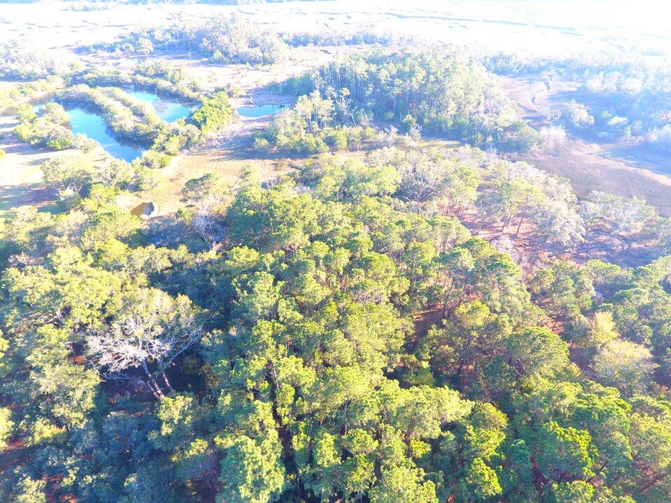 8695 Peters Point Road Edisto Island, SC 29438 - Photo 11 of 20 IMG_0124 (1)