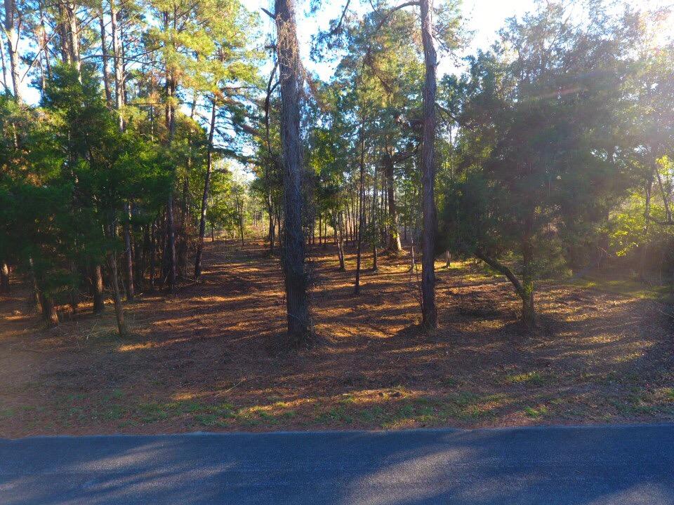 8695 Peters Point Road Edisto Island, SC 29438 - Photo 19 of 20 IMG_0136