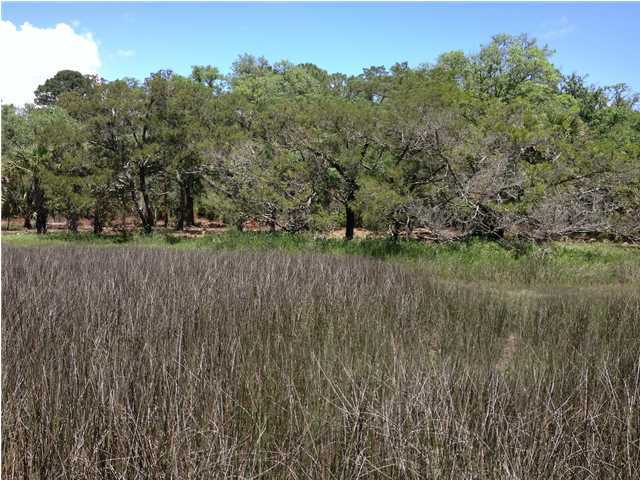 8695 Peters Point Road Edisto Island, SC 29438 - Photo 4 of 20 Additional Photo