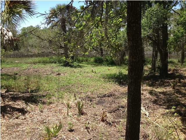 8695 Peters Point Road Edisto Island, SC 29438 - Photo 5 of 20 Additional Photo