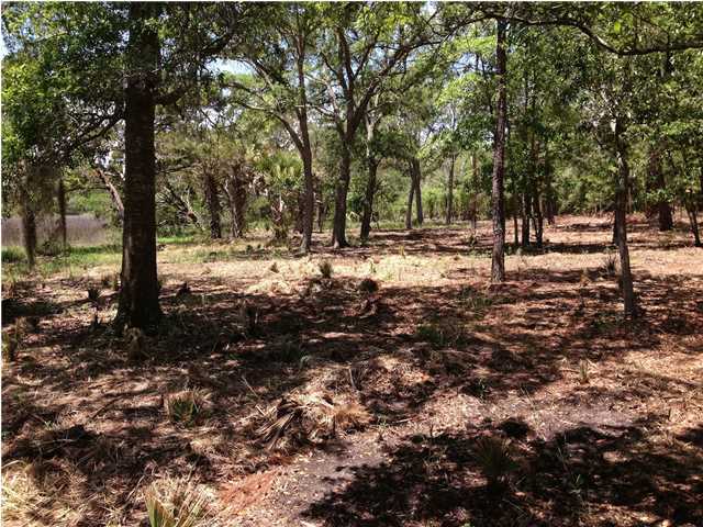 8695 Peters Point Road Edisto Island, SC 29438 - Photo 6 of 20 Additional Photo