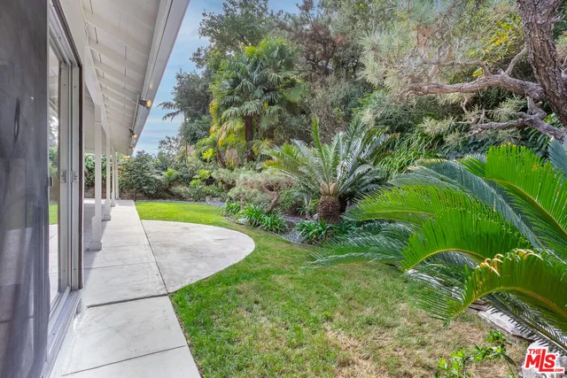 a view of a garden with large trees