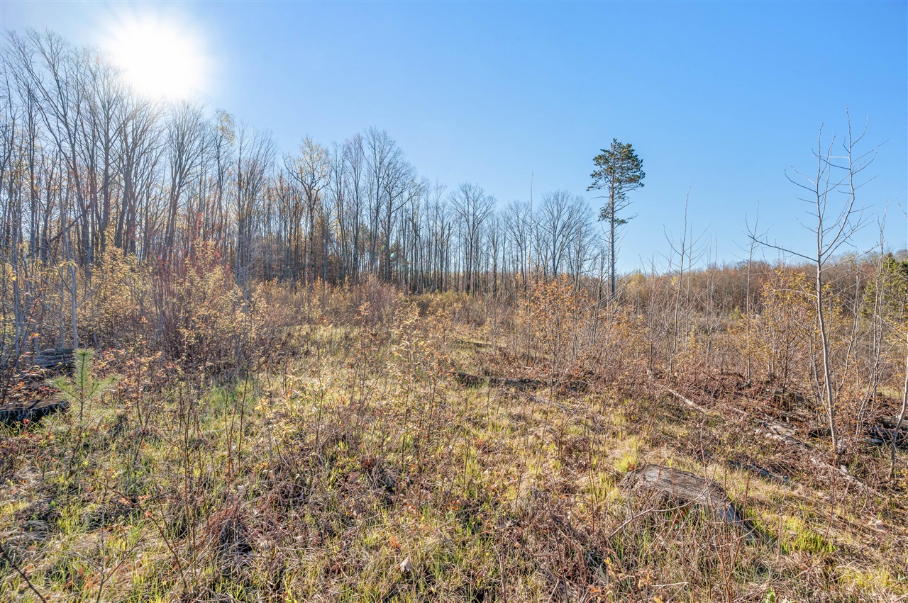 16107 12 Mile Road Leroy, MI 49655 - Photo 29 of 40 Gallery Image 29
