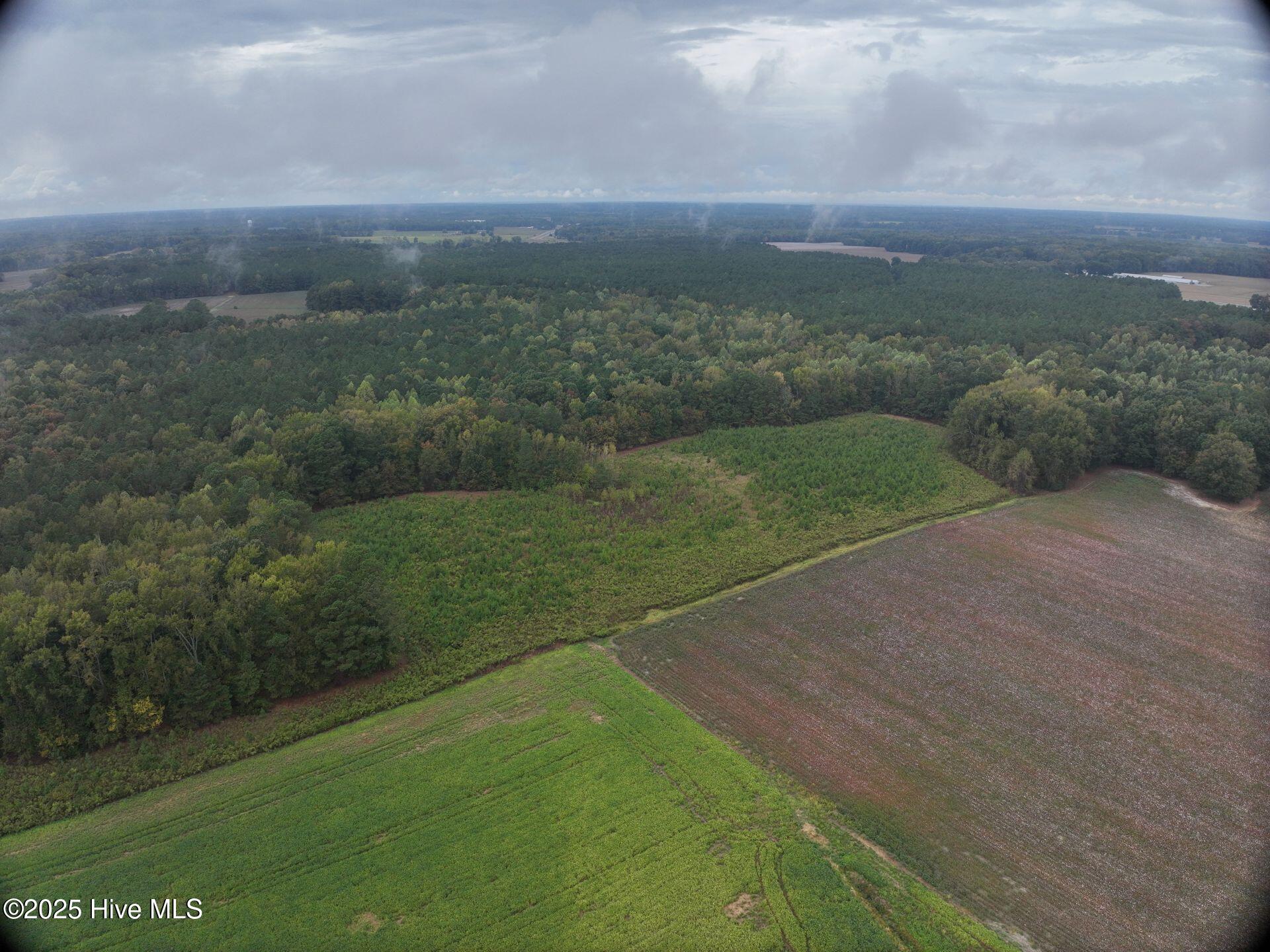 0 Red Oak Battleboro Road Battleboro, NC 27809 - Photo 11 of 47 11_photo--red-oak-battleboro-road